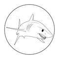 Mako shark. Swimming shark in a circle. Animal illustration Logotype for diving business or underwater aquarium center. line art